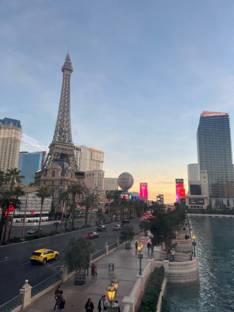 WhatsApp Image 2026 01 12 at 20.14.09 2 1